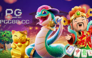 333体育2024最新版